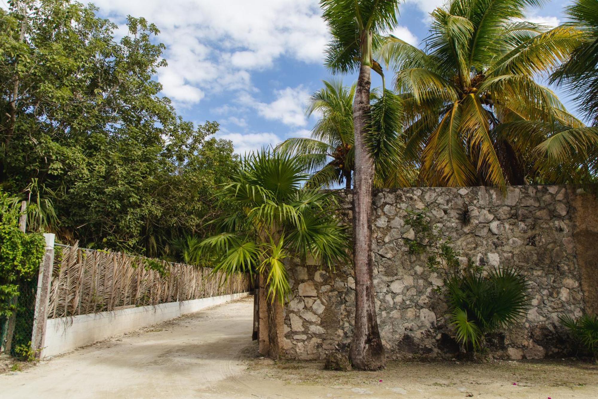 Angelina 28 Beachfront And Family Apartments - Modern And Relaxing Long Stays - 20 Min From Cancun Airport Puerto Morelos Extérieur photo
